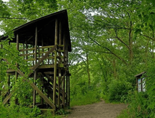 Naučná stezka Lednické rybníky