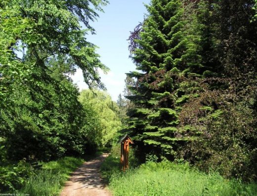 Arboretum Vysoké Chvojno