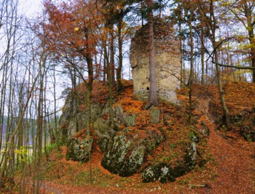 Zřicenina hradu Holštejn
