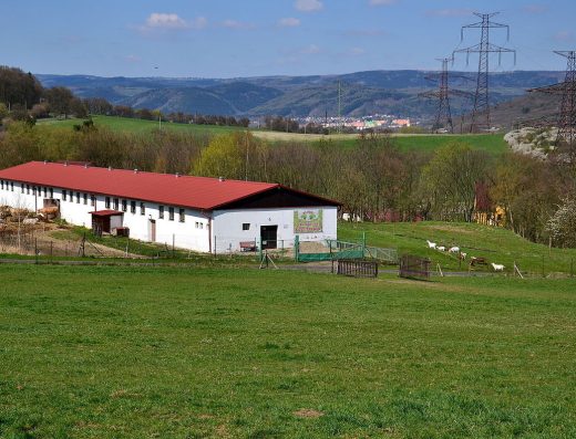 Kozí farma Zásada u Kadaně