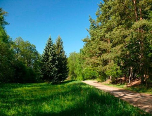 Lesopark a naučná stezka Litavka