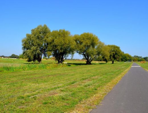 Promenáda Pasohlávky