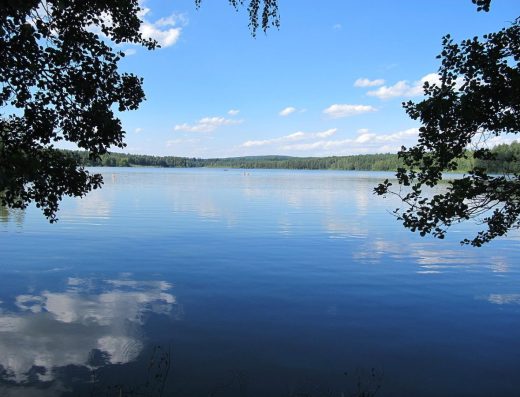 Staňkovský rybník