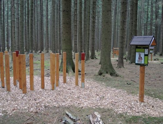 Stezka mladého lesníka