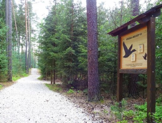 Stezka siluet Hradec Králové