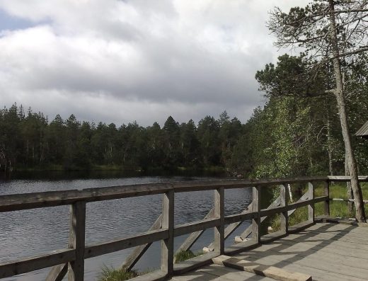 Velké mechové jezírko