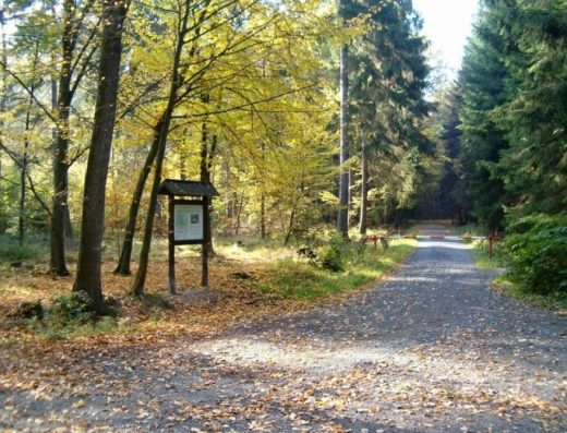 Voděradské bučiny