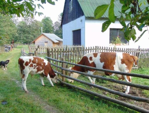 Zemědělský dvorek Dolní Lomná