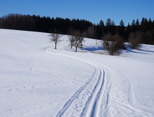 Běžkařské trasy v přírodním parku Polánka