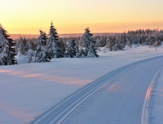 Běžkařské trasy ze Sněžníku