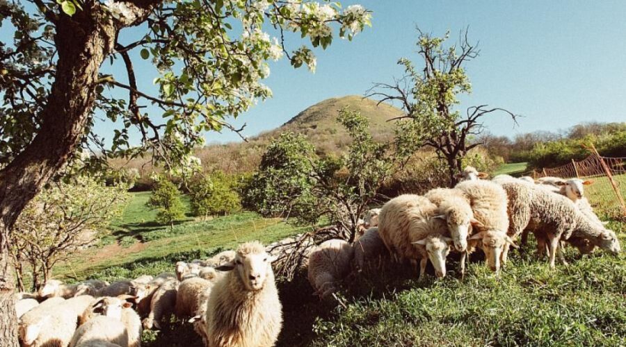 Jarní farmářské zážitky: Objevování přírody s dětmi