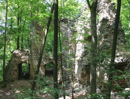 Zřícenina hradu Blansek