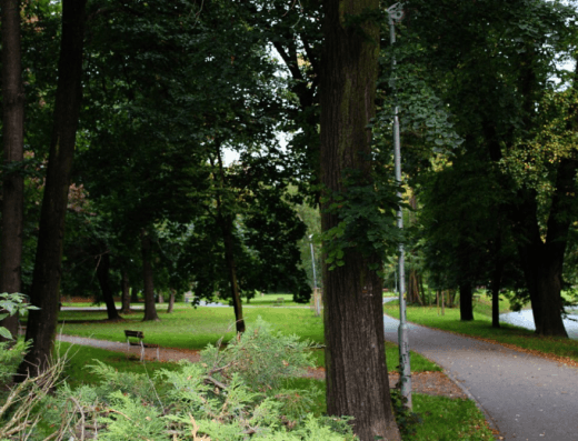 Smetanovy sady Vyškov