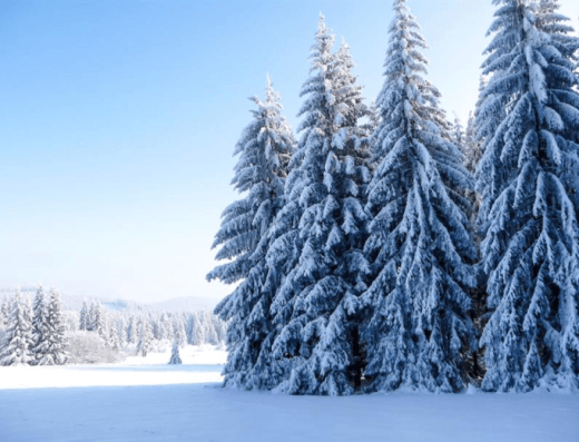 Běžkařské trasy Rejvíz