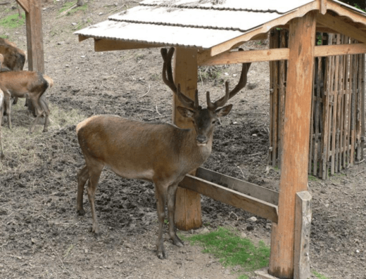 Klopotovské údolí